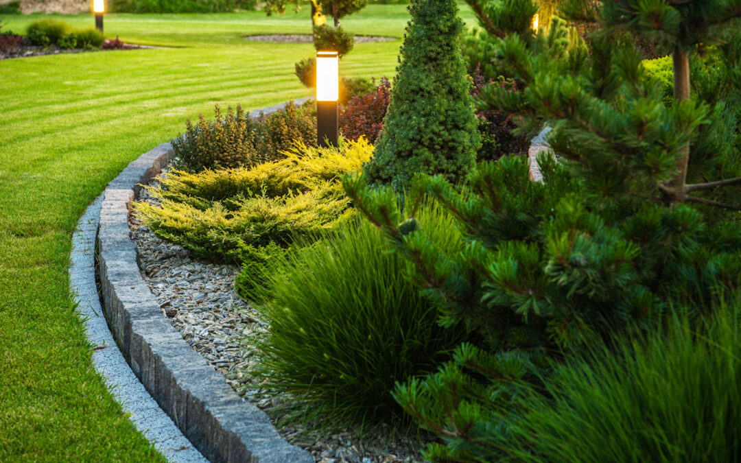 Affordable Mulch in Lexington KY