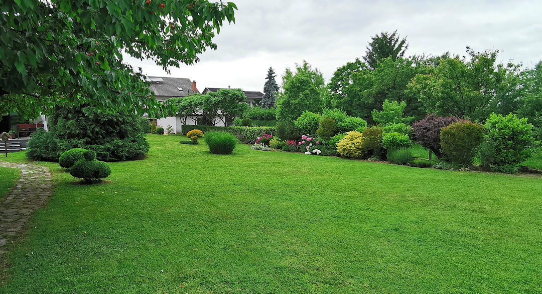 Lawn Care And Maintenance In Versailles KY