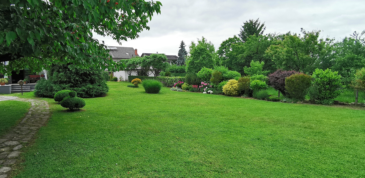 Landscaping Services Lexington Kentucky