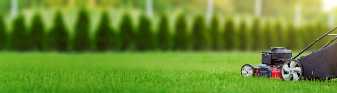 Affordable Mulch in Versailles KY