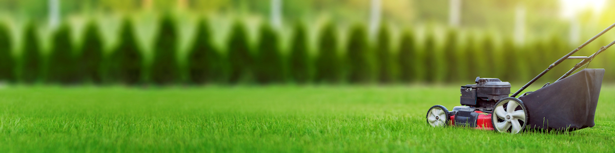 Lexington-Kentucky-Commercial-Landscaping-Company-Near-me