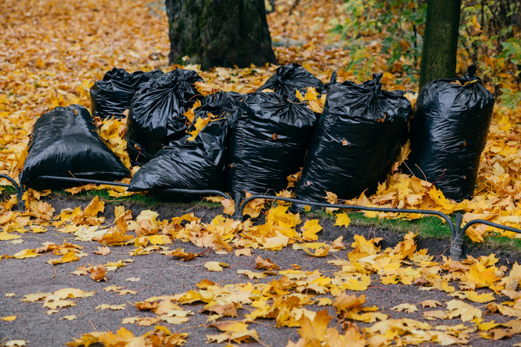 Lexington Kentucky Property Cleanup Near Me