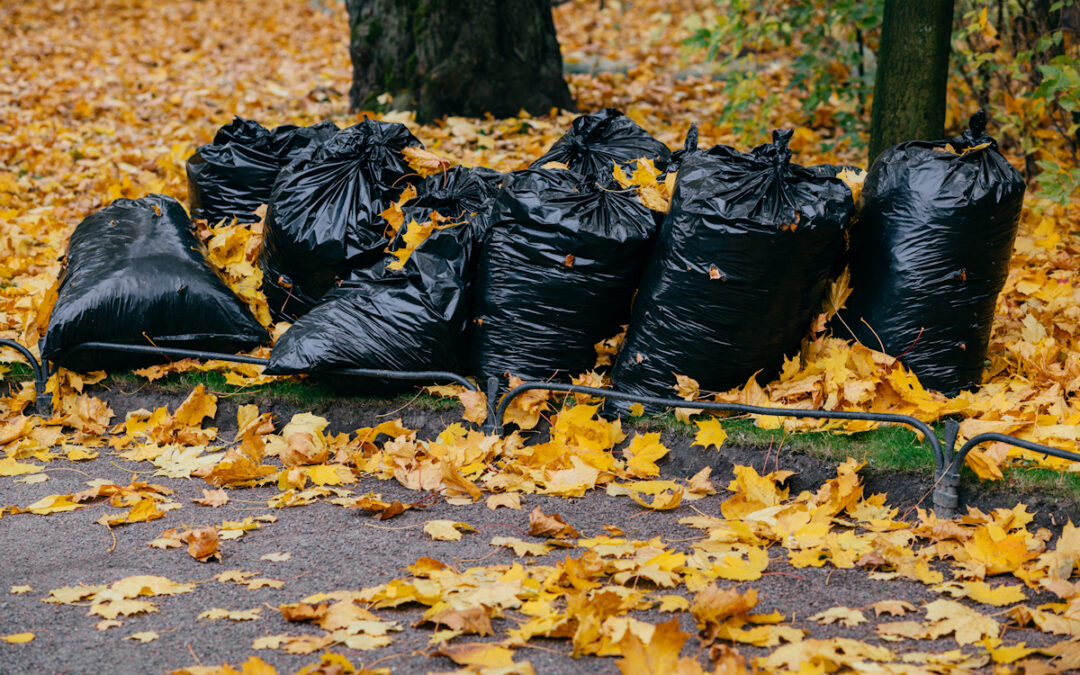 Seasonal Yard Cleanup In Versailles KY