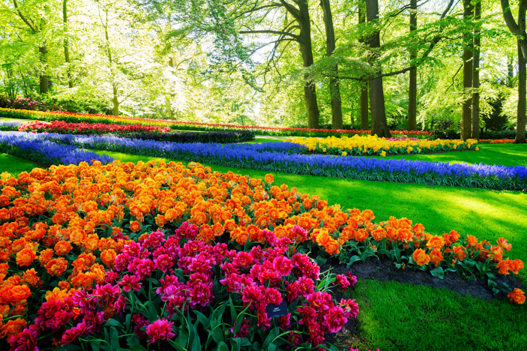 Lexington-Professional-Landscaping-Services-Near-Me