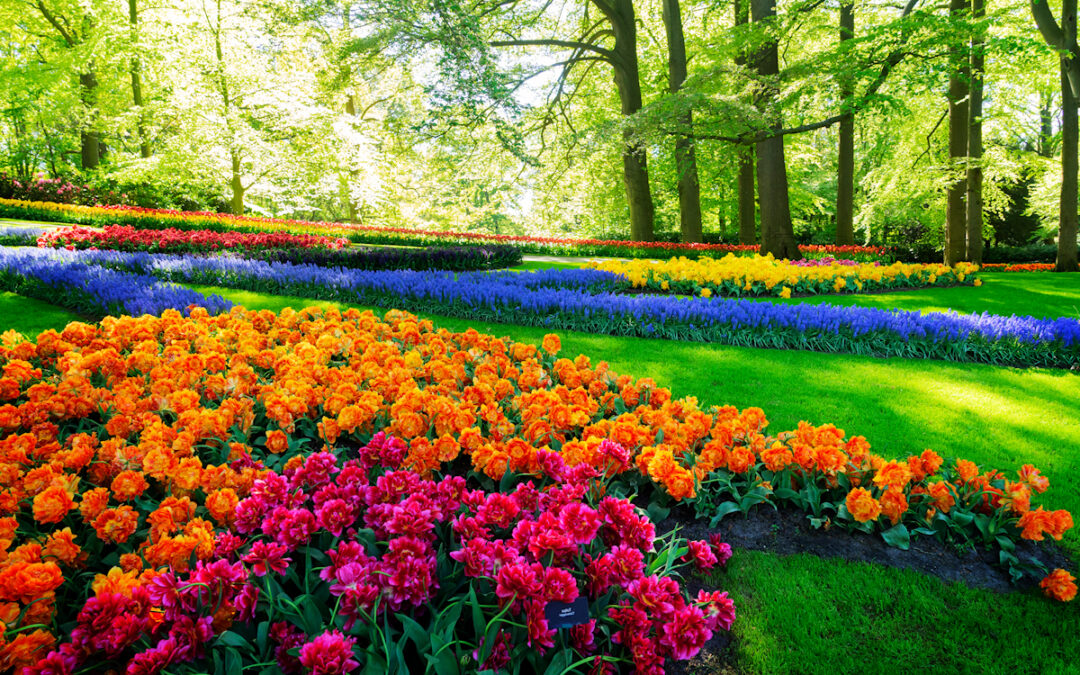 Georgetown KY Mulching Services